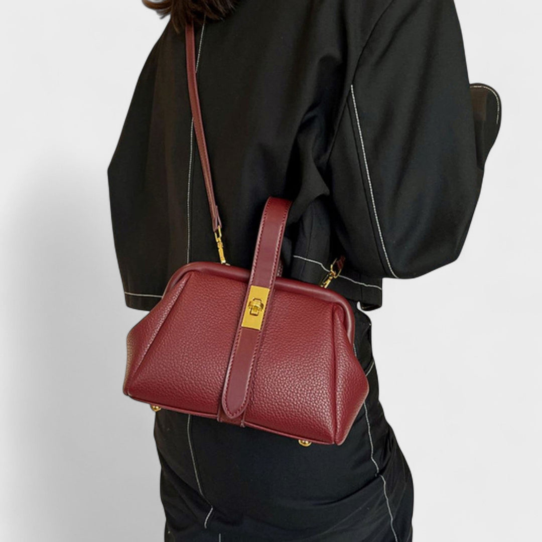 Далиборка - Ретро Елегантна Чанта